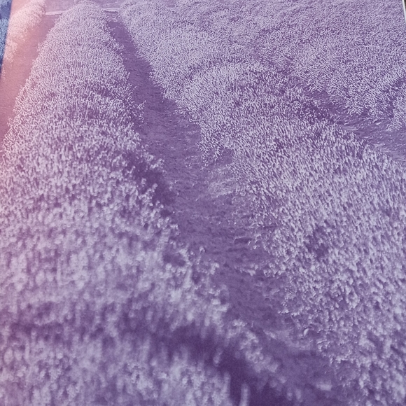 Book on Essential Oils - Seed to Seal - Picture 2 of 16